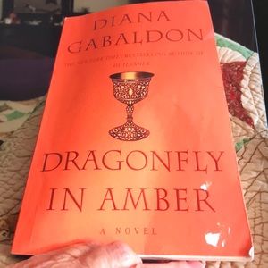 A novel dragonfly in amber from the outlanders